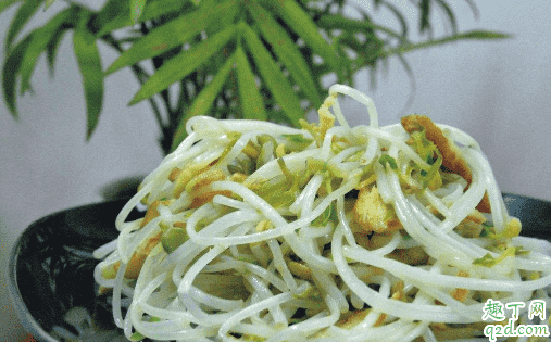 綠豆芽能給剛懷孕的人吃嗎 孕期吃綠豆芽有沒有營養2