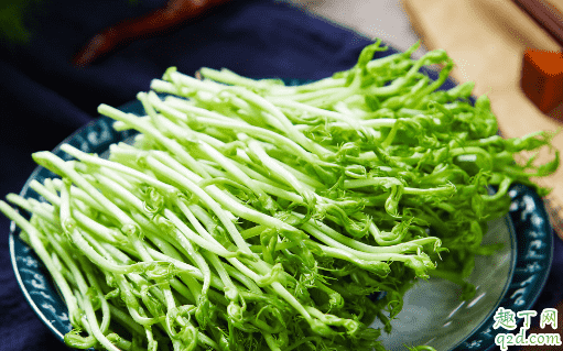 綠豆芽能給剛懷孕的人吃嗎 孕期吃綠豆芽有沒有營養1