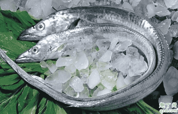 帶魚一股臭豆腐味是怎么回事 帶魚一股臭豆腐味是壞了嗎還能吃嗎2