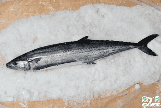 鲅魚去腥過油好還是焯水好 鲅魚去腥用什么方法好3