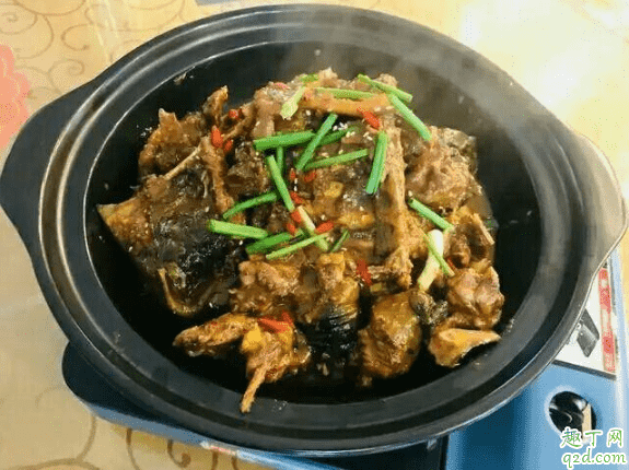 甲魚怎么去腥 怎么處理甲魚不腥3