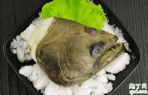 鰈魚身子為什么不能吃 吃鰈魚有什么禁忌3