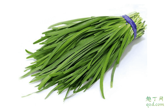 韭菜是不是高嘌呤食物 痛風吃韭菜好不好1