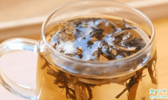 夏天喝蒲公英泡水有什么好處 蒲公英泡水喝的功效1