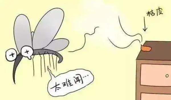 桔子皮可以驅蚊子嗎