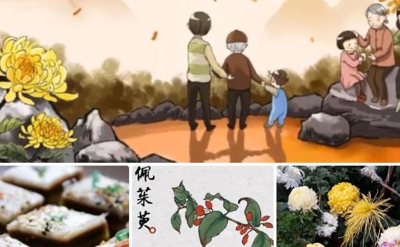 重陽節的民俗活動有哪些？重陽節吃什么傳統食物