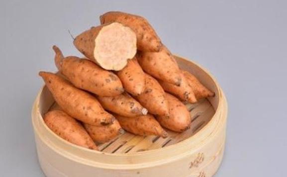 雪蓮果是地瓜嗎？雪蓮果的種植季節和方法
