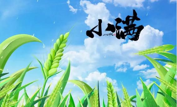 小滿之后為什么沒有大滿？小滿中的滿是什么意思