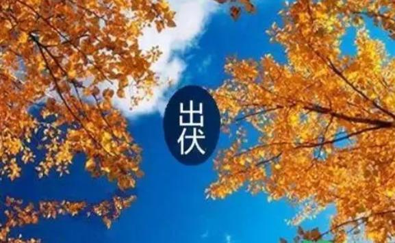出伏是哪天？出伏吃什么水果好