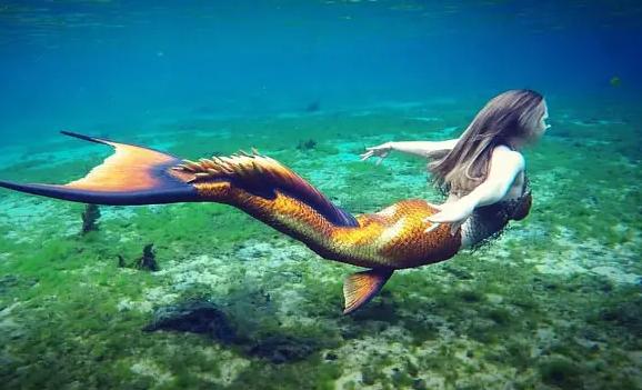 世界上有美人魚嗎？美人魚是什么動物