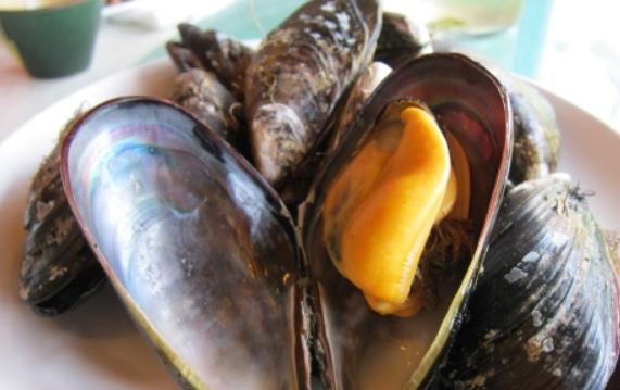 新鮮的淡菜是什么樣子的？淡菜怎么泡發清洗