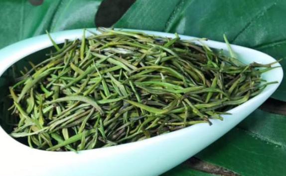 雀舌茶的作用都有哪些？雀舌茶適合什么器皿