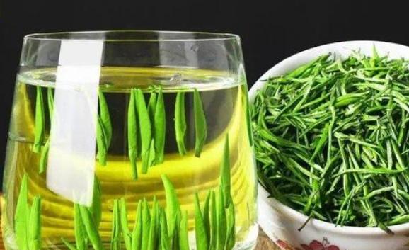 雀舌茶有什么好處與作用？雀舌茶怎么泡