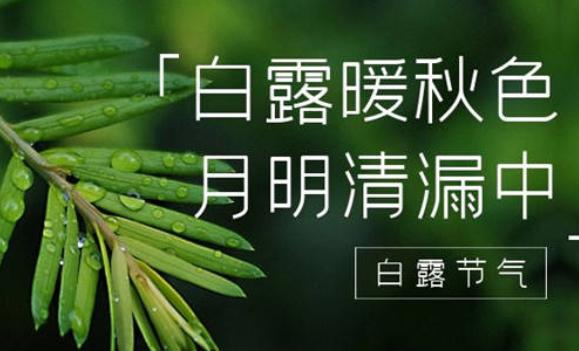 白露節氣特點是什么？白露的習俗都有什么
