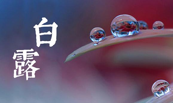 白露是什么季節？白露三候是什么