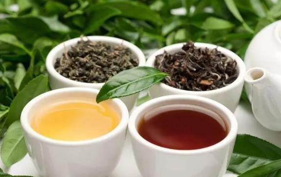 什么是烏龍茶？烏龍茶有哪些