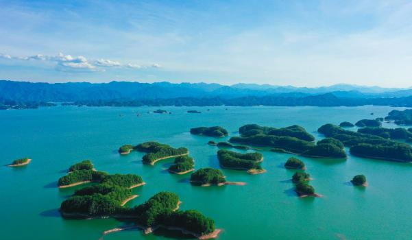 千島湖有哪些必吃的美食(千島湖魚頭、千島玉鱉、土雞煲等)