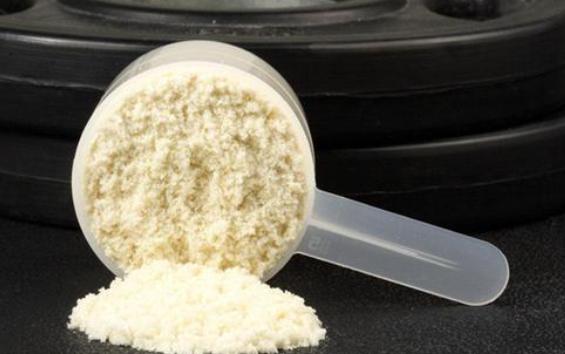 奶粉和蛋白粉的區別是什么？蛋白粉的作用