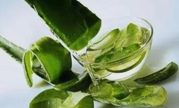 橄欖油和蘆薈膠哪個好？橄欖油護膚怎么用