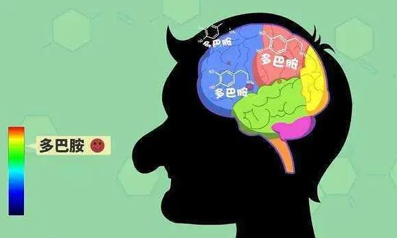多巴胺分泌旺盛是什么意思？為什么多巴胺能使人產生快感