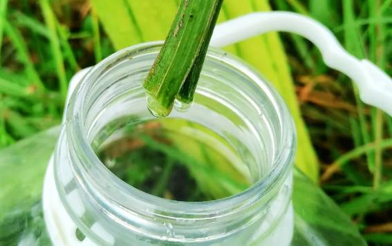 絲瓜水適合什么膚質？絲瓜水做噴霧怎么用