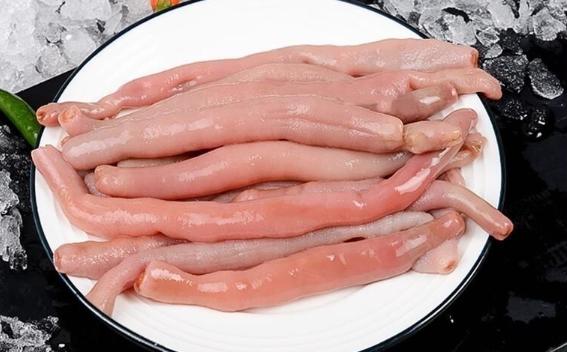 沙蟲和海腸哪個好吃？沙蟲營養成分