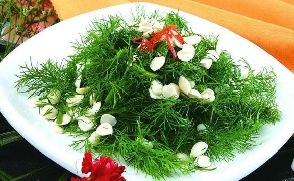 茴香菜什么季節吃？茴香菜是涼性還是熱性