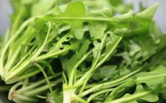 菱角菜的益處功效與作用有哪些？菱角菜怎么洗干凈
